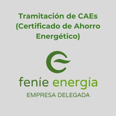 Tramitación de CAEs con FENÍE Energía
